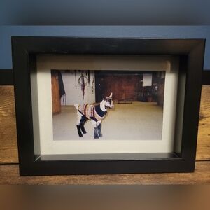 Vintage Photograph "Nico" And Frame